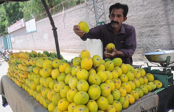 A vendor arranging and displaying mangos on his cart at Masoom Shah Road