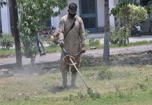A worker cutting grass with electric cutter