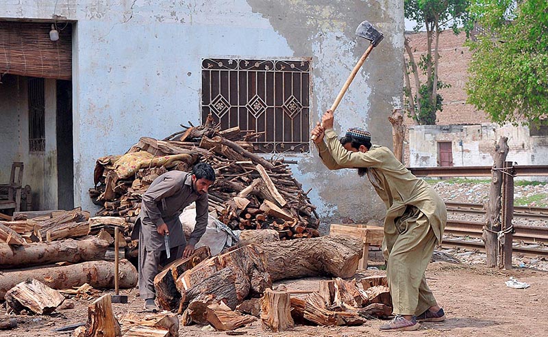 Labourers cutting wood into pieces at their workplace.