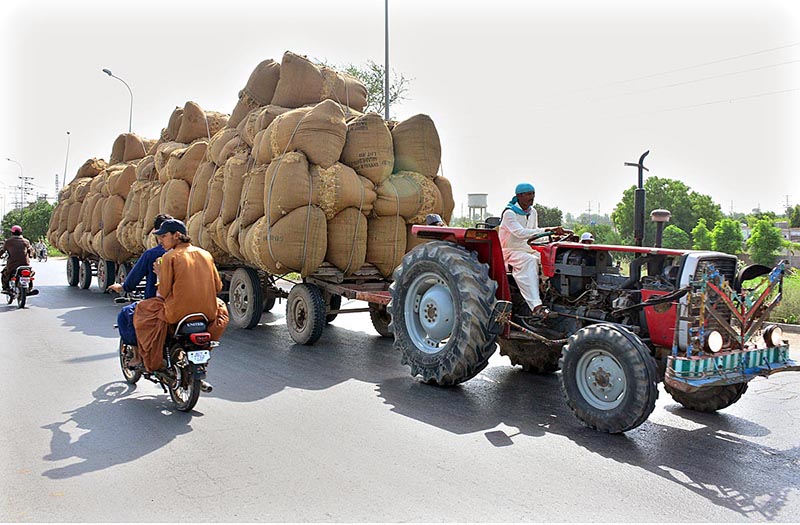 A tractor trolley loaded with chaff (husk from wheat) on the way at Fateh Chowk Road