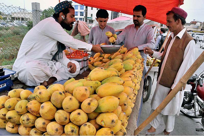 A vendor selling mangoes to the customers on his handcart at KhannaPul in Federal Capital