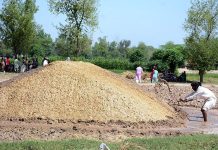 A farmer is busy in collecting to store wheat chaff for cattle feed at his field