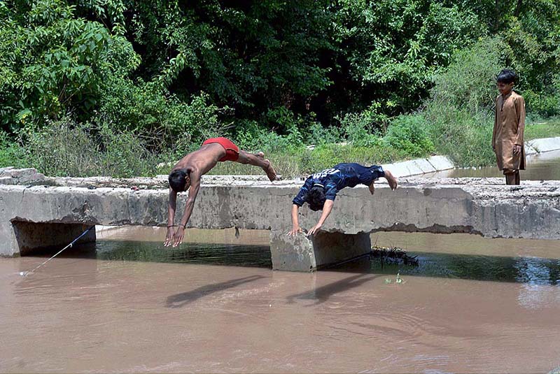 Youngsters , canal , bathing , hot weather ,