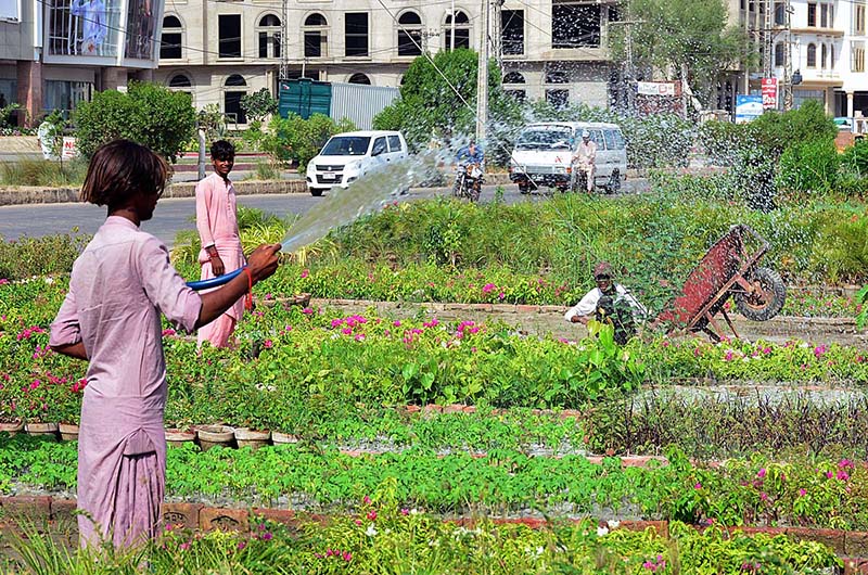 A youngster busy in showering water on the plants at local nursery