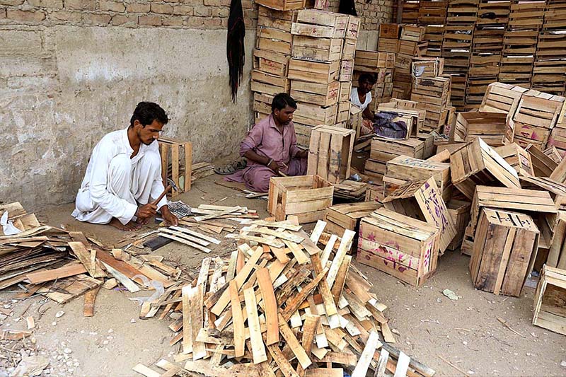 Labourers are preparing wooden boxes at Fruit Mandi