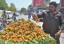 Vendor is displaying seasonal fruit (loquat) to attract customers at his cart