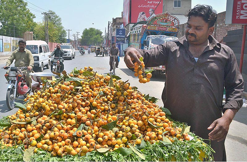 Vendor is displaying seasonal fruit (loquat) to attract customers at his cart