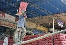 Workers loading onion sacks on a delivery truck at Vegetable Market