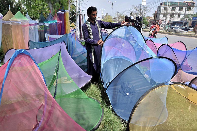A vendor is selling mosquito nets as a preventative measure against dengue and malaria fever at his roadside setup in Federal Capital