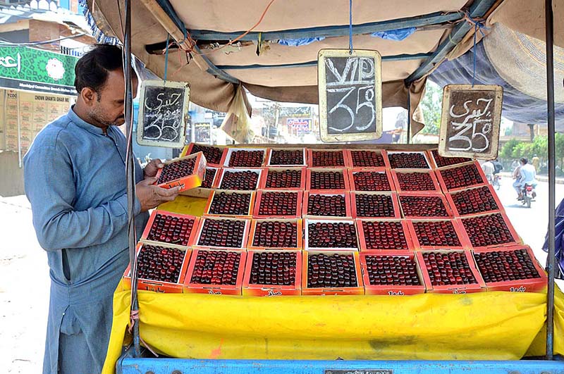 A vendor displaying and selling cherry boxes to attract customers at his roadside setup