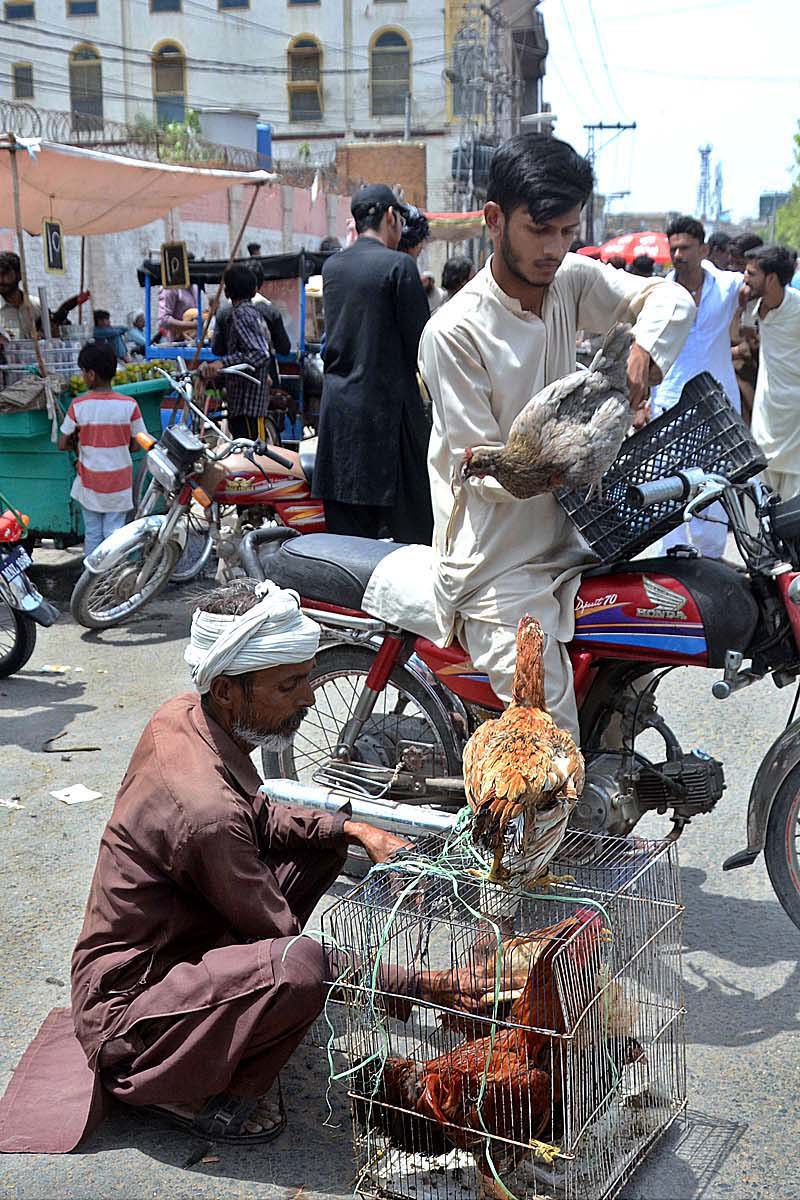 A youngster purchasing chicken from a vendor at Birds Market