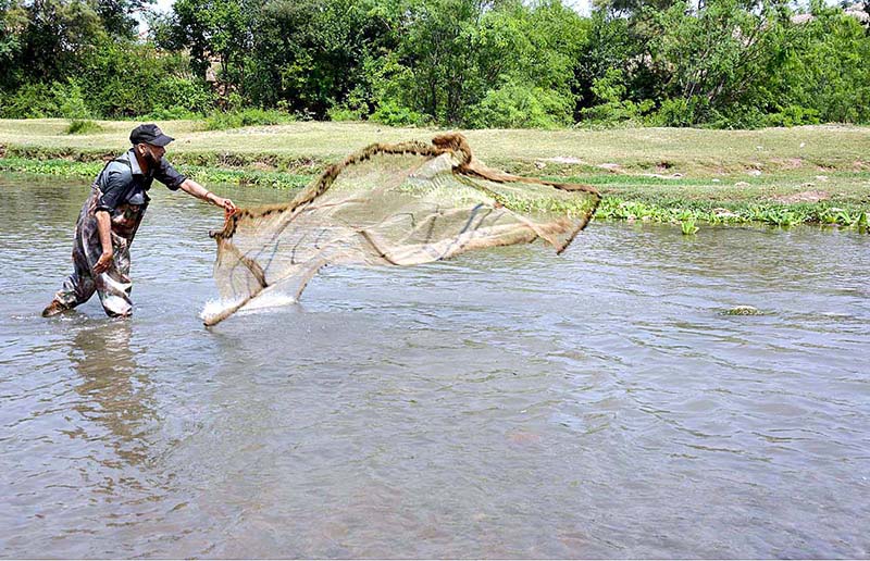 A fisherman throwing net for fishing in a local stream near Phandu area