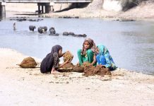 Girls collecting the dung to be used as fuel for cooking at the bank of Rice Canal near New Bus Stand