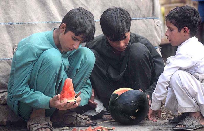 Three Afghan refugee boys are eating watermelon at Vegetable market in I-9 sector in Federal Capital