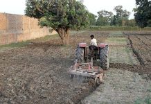 A farmer harvesting for new crop with the help of Tractor in his fields