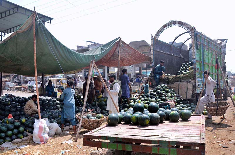 Labourer busy in unloading watermelons from the delivery truck at the fruit market