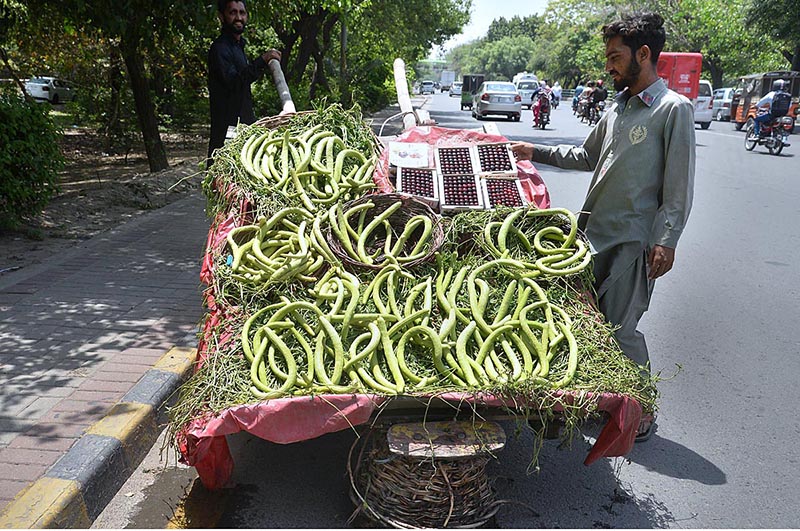 A vendor displaying and selling cherry boxes and vegetables to attract customers at his roadside setup