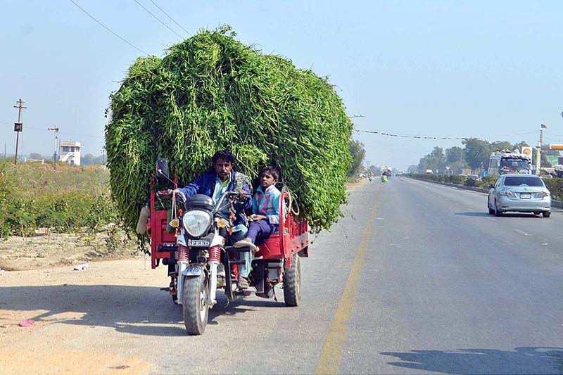 A loader vehicle on the way loaded with fodder at Mirpurkhas road