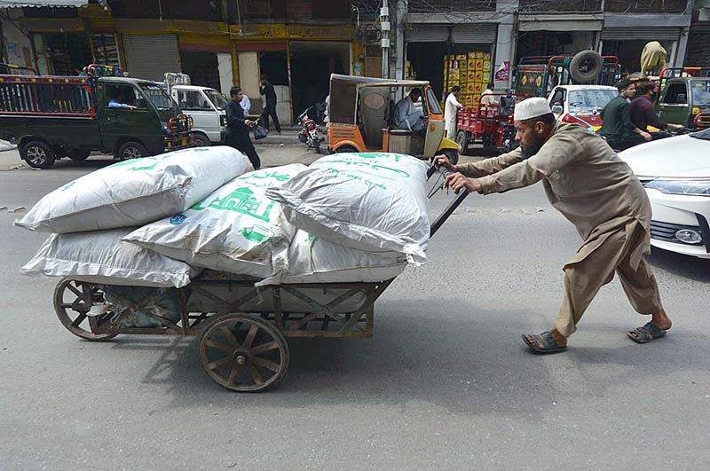 A labour is carrying huge sugar sacks on his handcart at Firdous area on International Labour Day