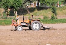 A farmer harvesting for new crop with the help of Tractor in their fields