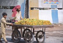 A vendor selling Mangoes on his pushcart with his son for livelihood in Provincial Capital
