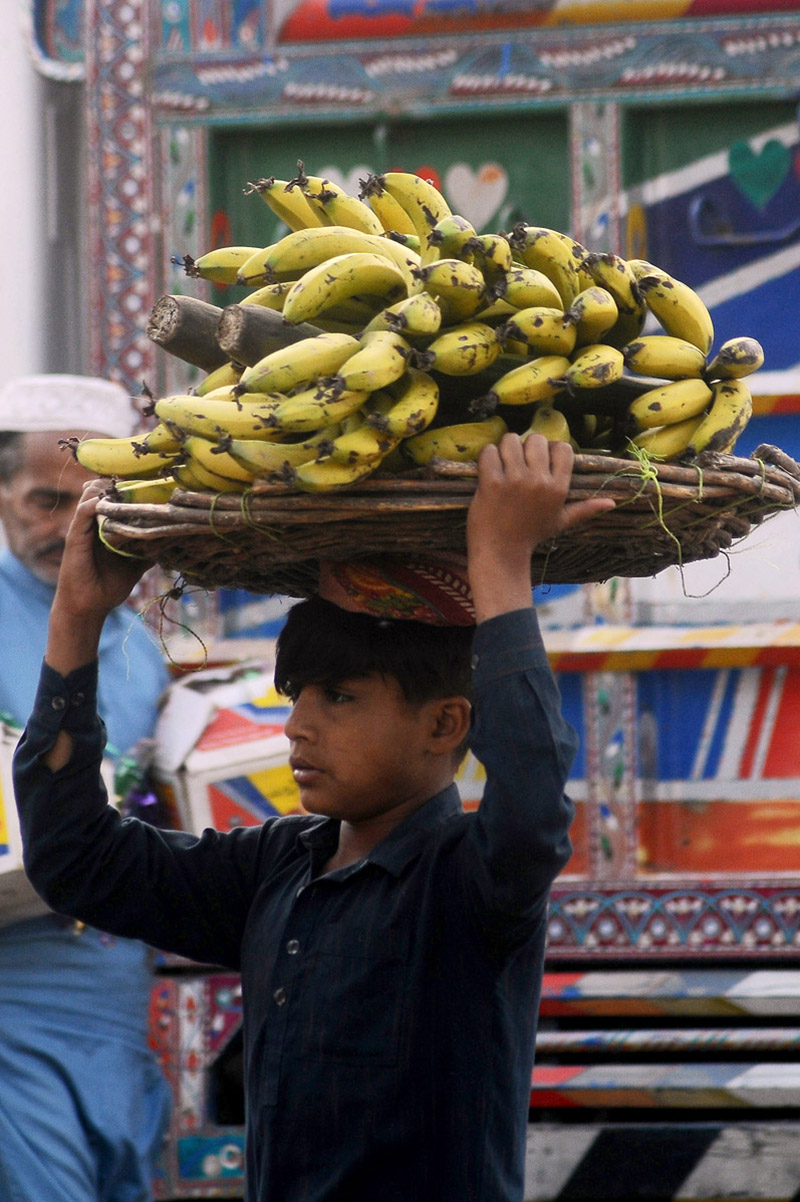 A young laborer carrying bananas basket on his head for delivery at a fruit market