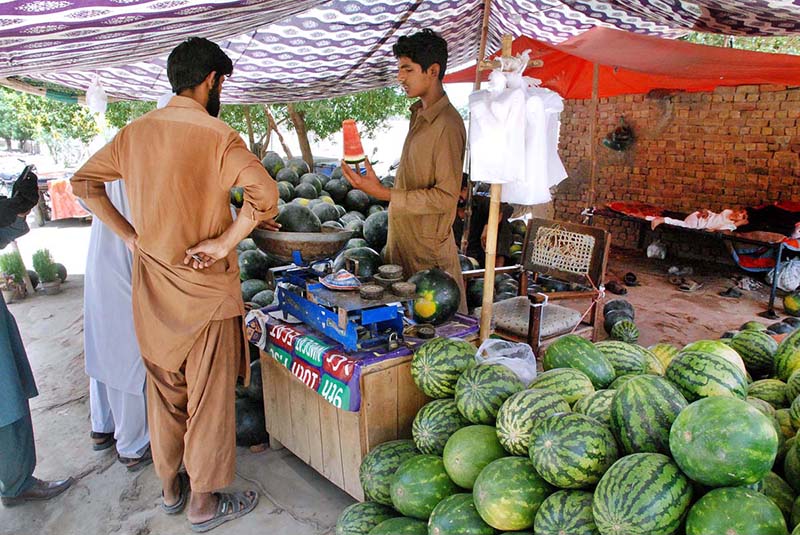 People are buying watermelons from a roadside stall