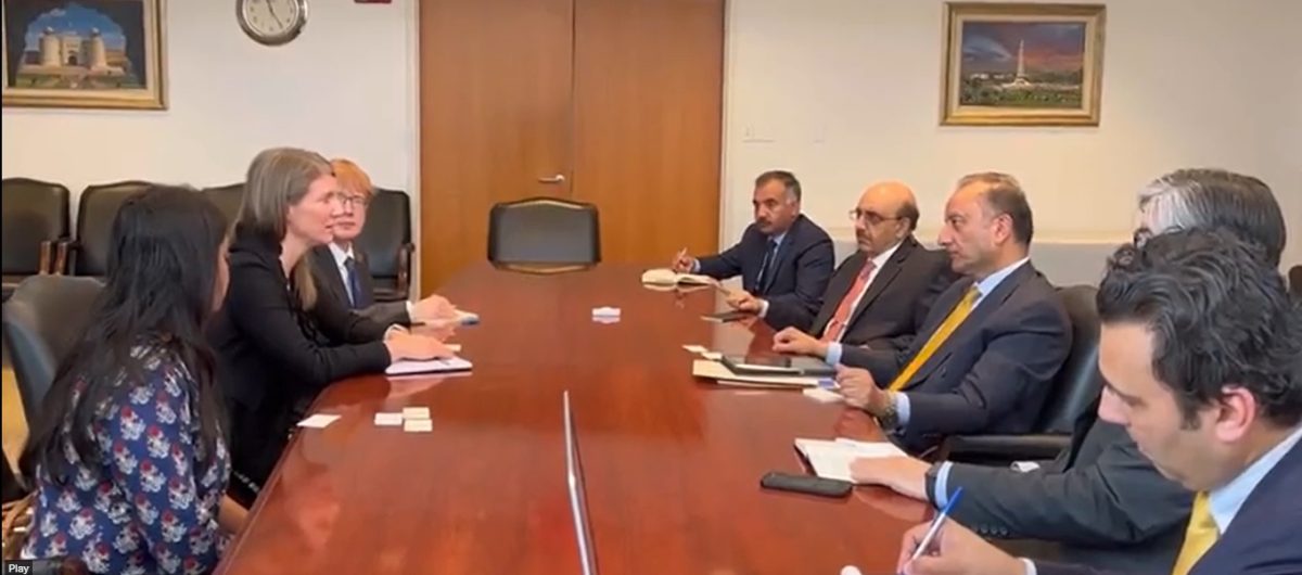 Musadik Malik discusses steps to boost Pakistan's energy productivity with senior US officials