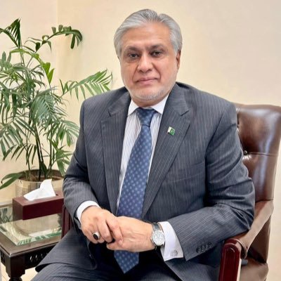 Federal Budget 2023-24: Dar announces two anomaly committees