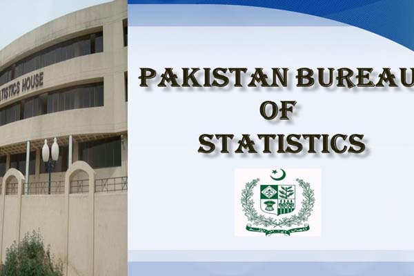 Pakistan earns $1,941 million from IT services' export in 9 months