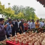 Arab League diplomats, officials visit Xinjiang Uygur Autonomous Region