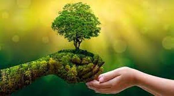 Nature based solutions proving cost effective sustainable ways of combating environmental degradation