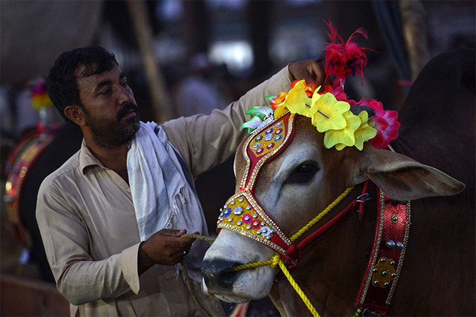 Sacrificial animals' prices skyrocket as Eid-ul-Azha approaches nearer