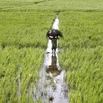 Fixing commission agents’ nexus to protect small growers