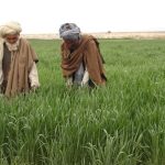 Rs1,222 bln provided to farmers during July-March, 2023: Survey