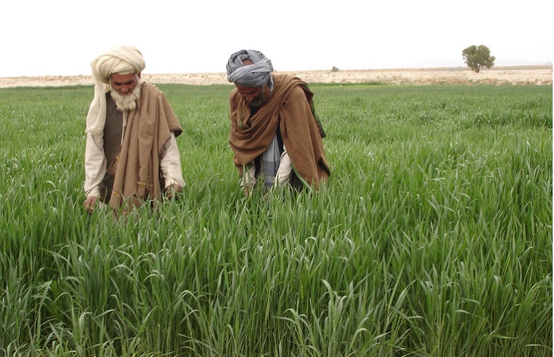 Rs1,222 bln provided to farmers during July-March, 2023: Survey