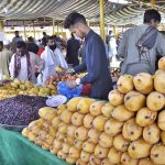 A vendor sells seasonal fruit mangoes at his stall in weekly Sunday Bazaar G-6 Sector
