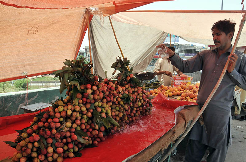 A vendor sprinkling water on the seasonal fruit lychee to keep them fresh during hot day in the Federal Capital
