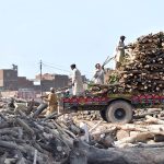 Labourers are busy loading wood on the tractor trolly at the timber market