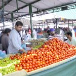 A vendor displays tomatoes at his stall in weekly Sunday Bazaar G-6 Sector