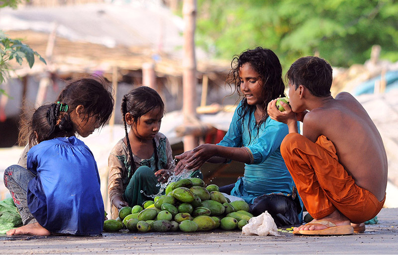 Gypsy children displaying raw mangoes to attract the customers at roadside to earn for livelihood