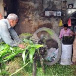 A vendor cutting fodder for animals at his workplace