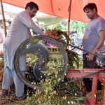 A vendor busy in cutting fodder for selling purpose as demand increased in connection with upcomming Eidul Azha