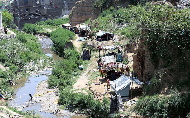 The gypsy community resides in huts located at the bank of Nullah Lai in Dhoke Hassu