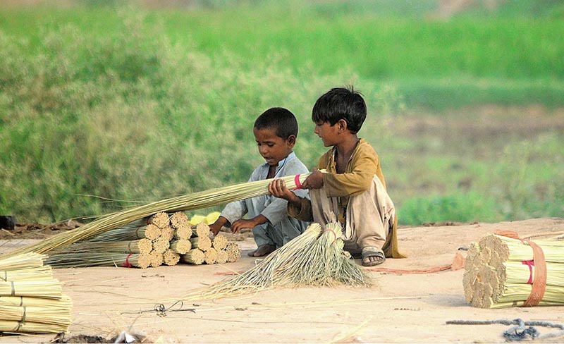 Gypsy children binding the brooms for the customers