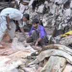 People preserving animal skin after collecting on the 2nd day of Eid Ul Azha at his workplace