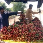 Vendor displaying seasonal fruit (Lychee) to attract the customers while shuttling on the road