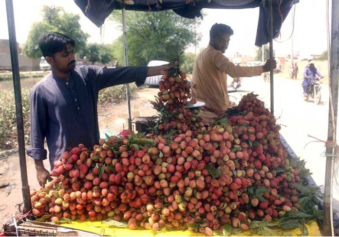 Vendor displaying seasonal fruit (Lychee) to attract the customers while shuttling on the road