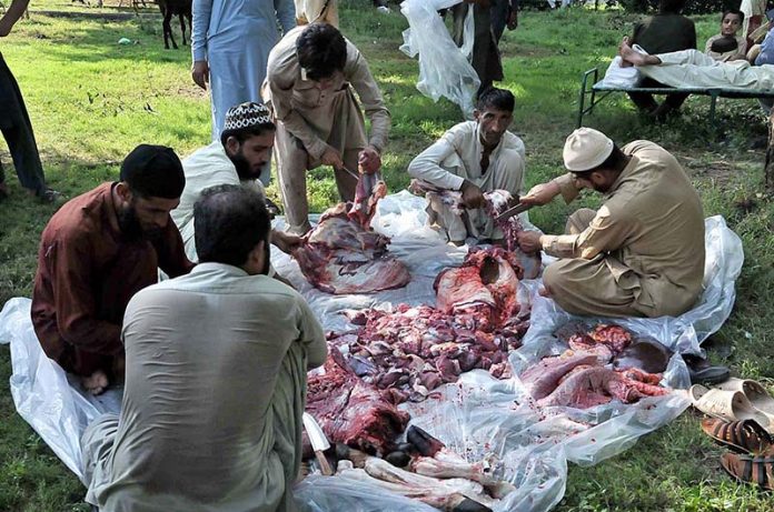 Butchers busy in cutting meat into pieces after slaughtering sacrificial animal on the 1st day of Eid Ul Azha.