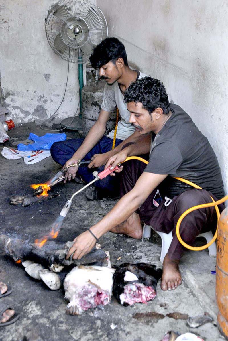 Vendors cleaning sacrificial animal trotters (Paya) for customers on the 2nd day of Eid Ul Azha at their workplace